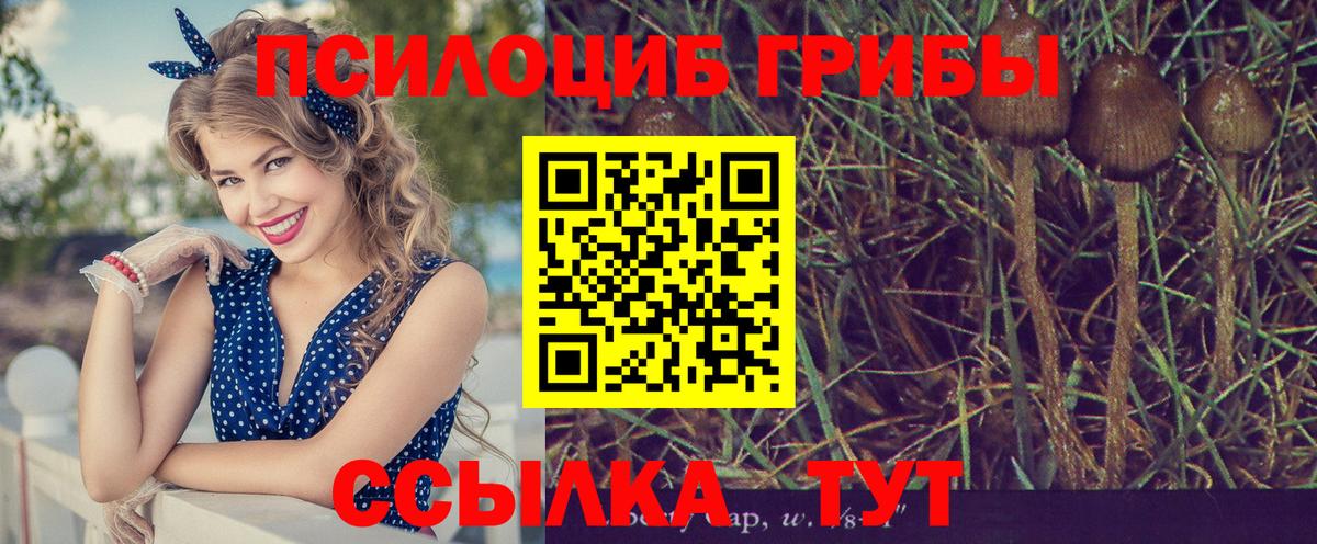 Новотроицк  Галлюциногенные грибы Cubensis  Псилоцибиновые грибы мицелий  цены наркотик  Вход с VPN 