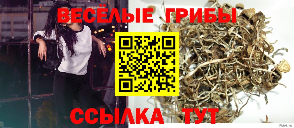 Галлюциногенные грибы мицелий Новотроицк